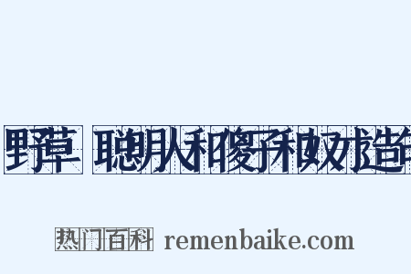 野草·聪明人和傻子和奴才造句是什么意思的图片